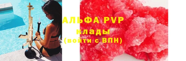 эйфоретик Вяземский
