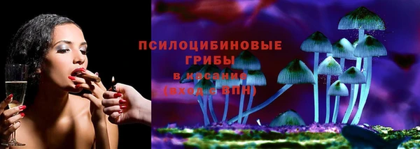 молекула духа Вязники