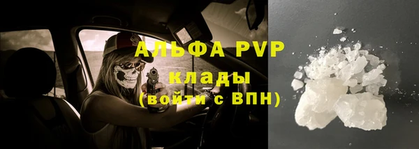 эйфоретик Вяземский
