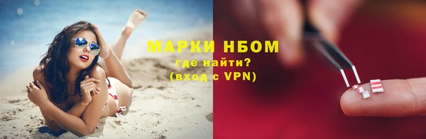 эйфоретик Вяземский
