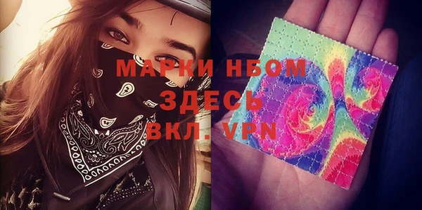 эйфоретик Вяземский