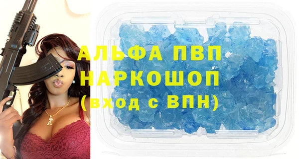эйфоретик Вяземский