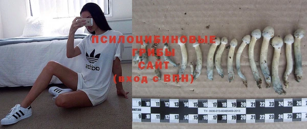 эйфоретик Вяземский
