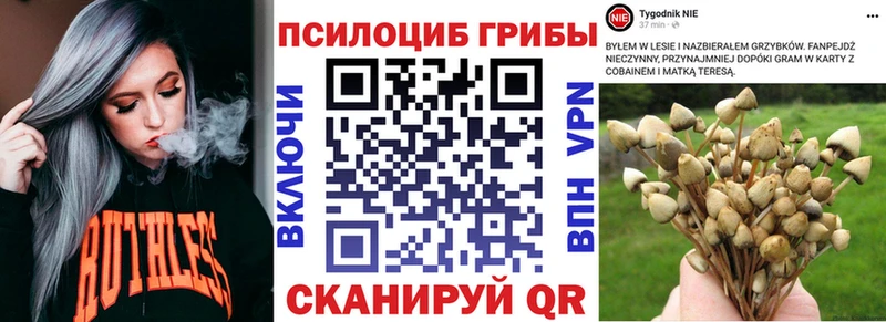 Купить где  Ачинск  Галлюциногенные грибы мицелий 